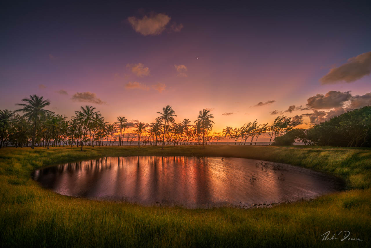 Pond By The Sea