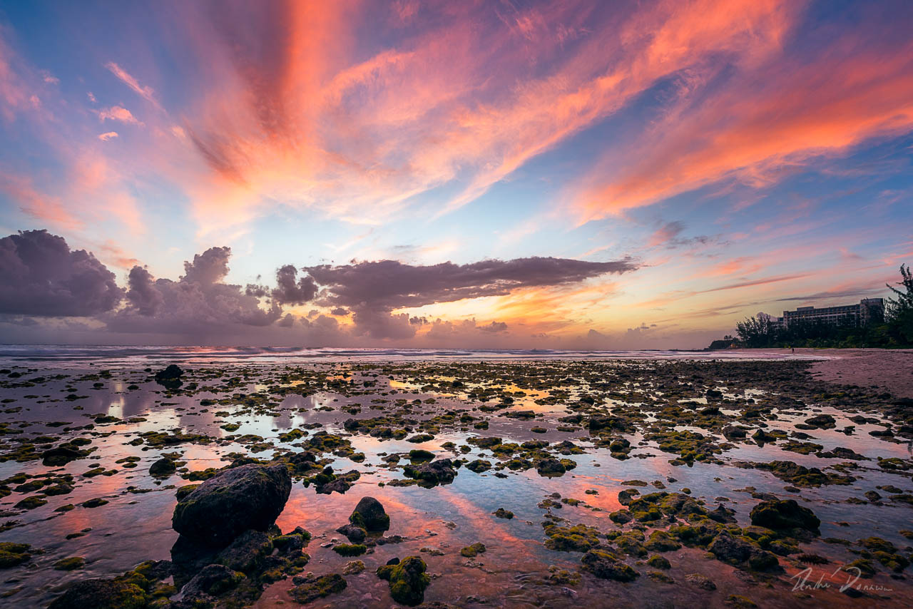 Reef Reflections 2