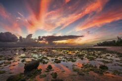 andre donawa fine art photography brandens drill hall beach barbados