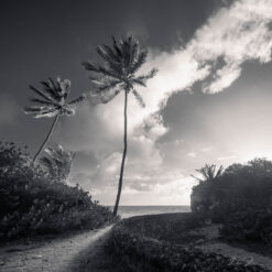 andre donawa fine art photography black and white River Bay Barbados