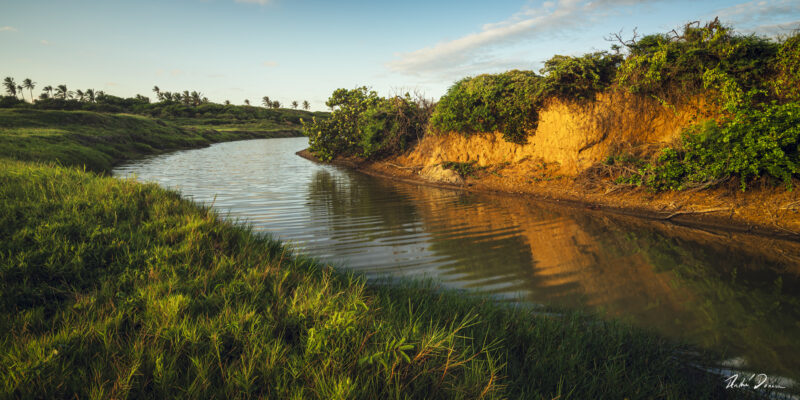 Fine art photograph of Green Pond, Barbados by Andre Donawa.
