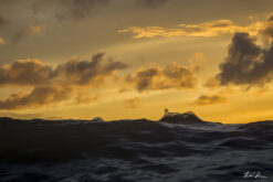 Fine art photograph of a wave at sunset, Barbados by Andre Donawa, seacsape