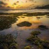 Fine art photograph of reef and tidal pools at sunrise, Bathsheba, Barbados by Andre Donawa.