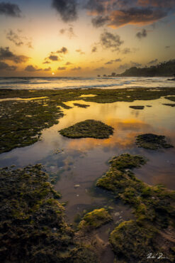 Fine art photograph of reef and tidal pools at sunrise, Bathsheba, Barbados by Andre Donawa.
