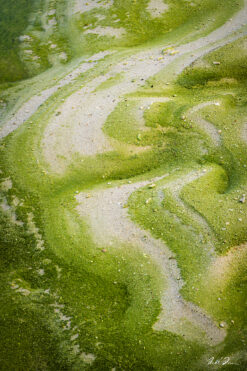 Fine art abstract photograph of green sand, Barbados by Andre Donawa.