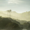 Fine art photograph of the Bathsheba coastline, by Andre Donawa.