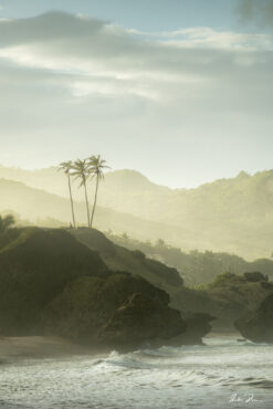Fine art photograph of the Bathsheba coastline, by Andre Donawa.
