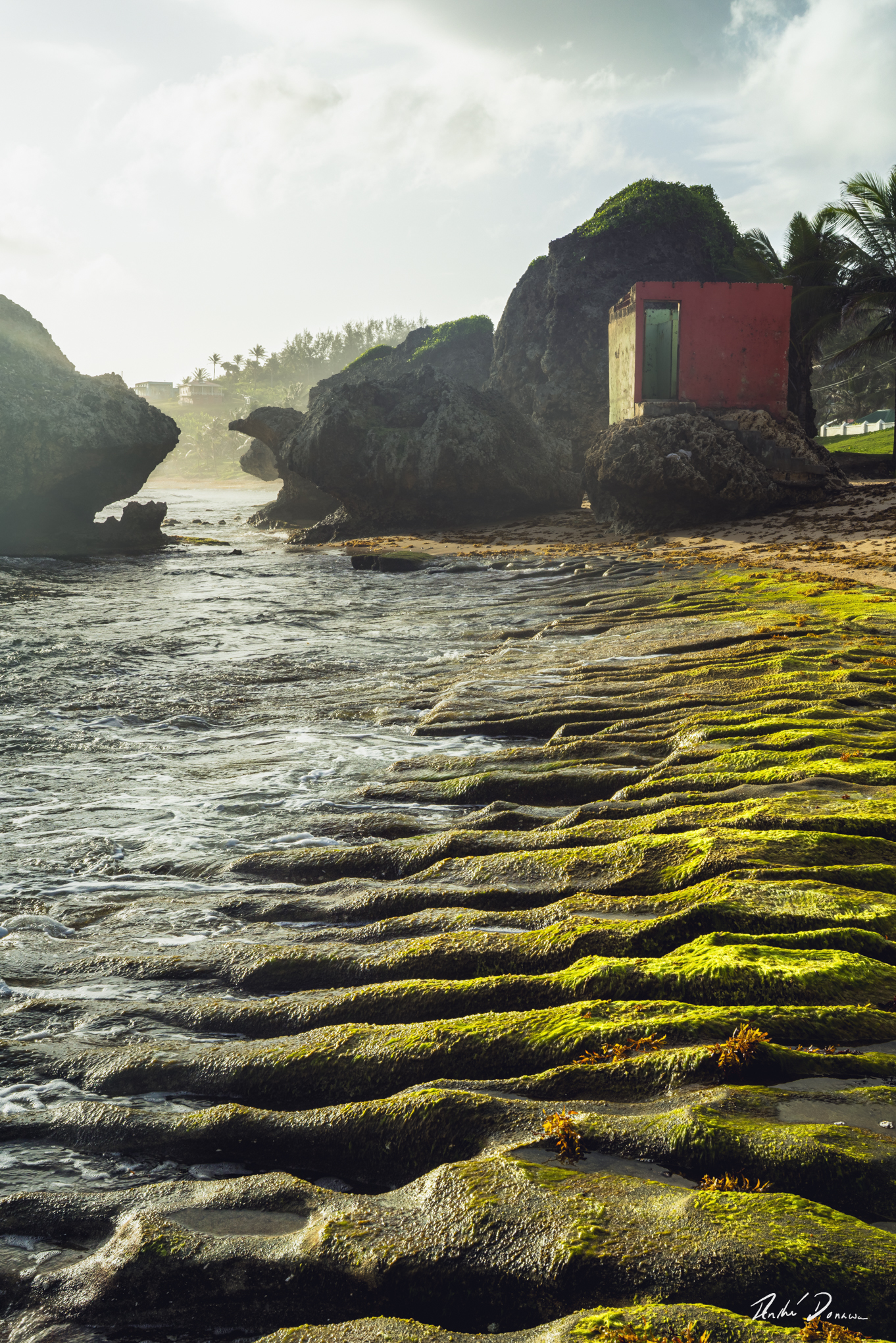 Reef at Bathsheba Barbados. Beach house