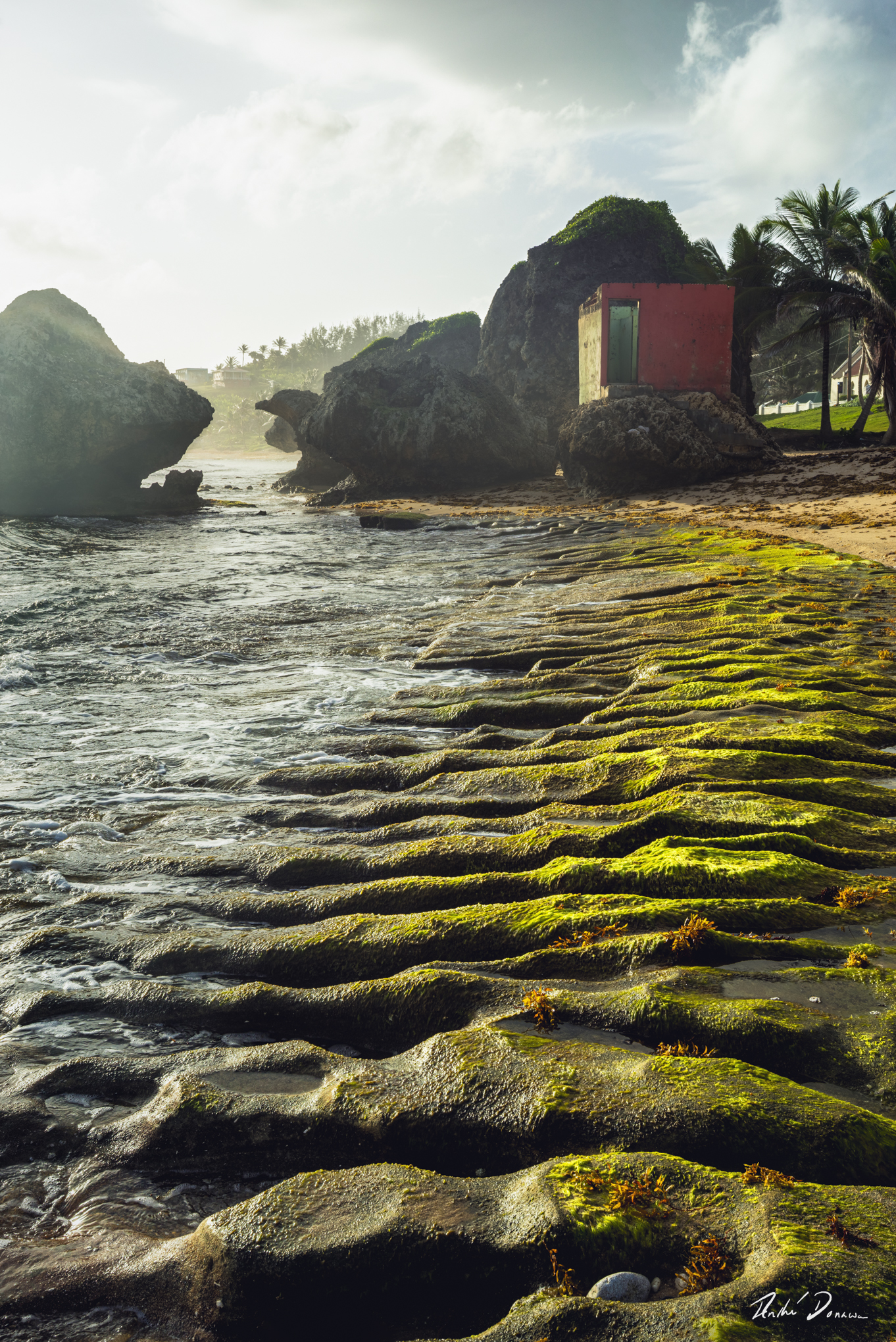 Reef at Bathsheba Barbados. Beach house